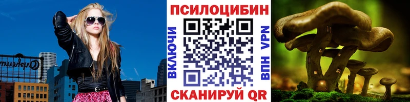 MEGA зеркало  Питкяранта  Псилоцибиновые грибы Cubensis 